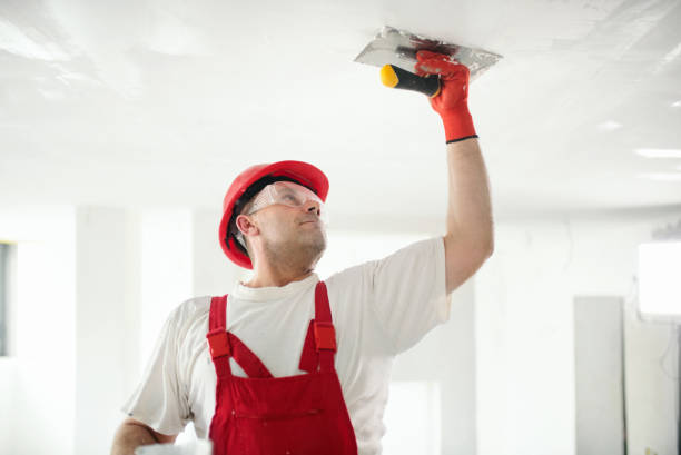 Best Biohazard Mold Removal  in Sachse, TX