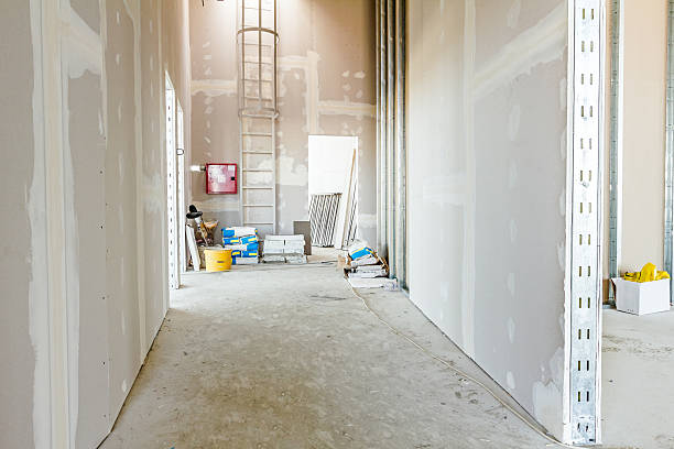 Best Mold Damage Restoration  in Sachse, TX